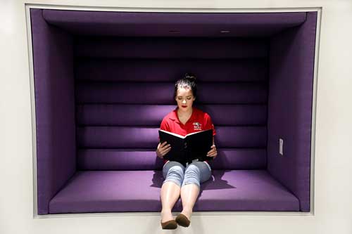 MSU Denver senior Grace Rink looks at paintings made by artist Pieter Bruegal in one of the study pods on the second floor in the Student Success Building. Photo by Alyson McClaran 