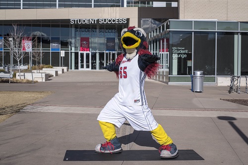 Rowdy the Roadrunner doing yoga