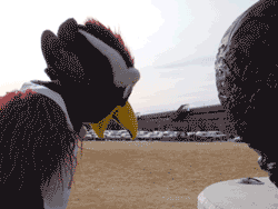 Rowdy looks around for his shadow and doesn't find it.