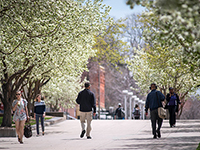 Auraria Campus in Spring