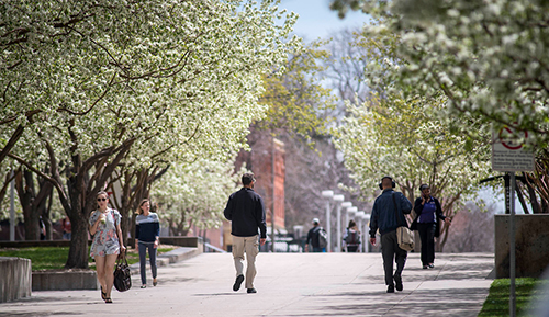 Auraria Campus in Spring