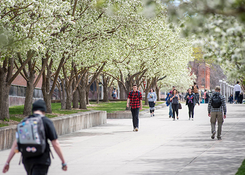 MSU Denver campus Spring 