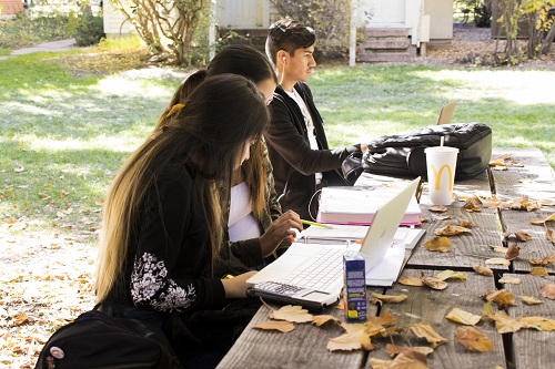 Students studying at picnic table