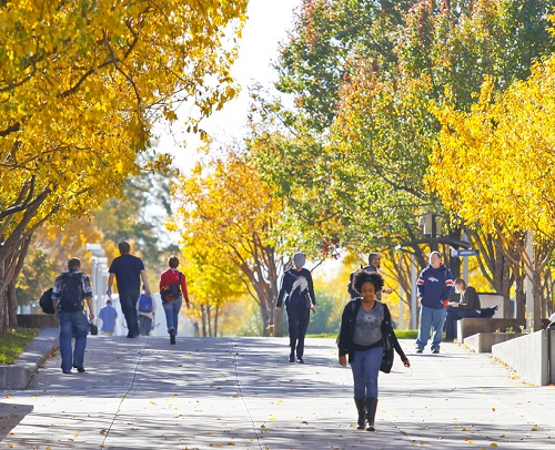 campus in fall