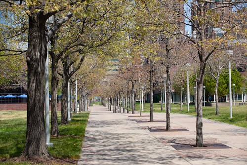 Empty campus.